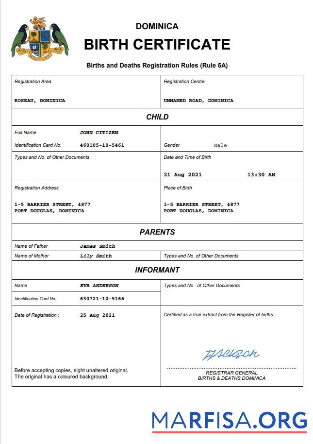 Realistic Dominica vital record birth certificate Word and PDF template